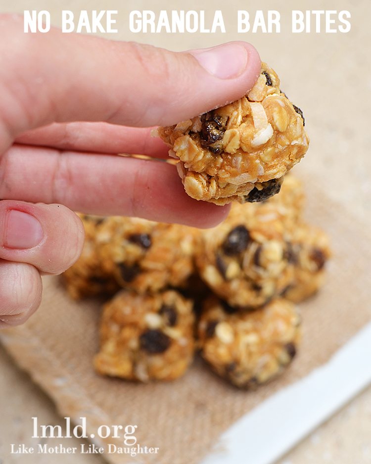 No Bake Granola Bar Bites Love to be in the Kitchen