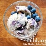 banana-blueberry-ice-cream