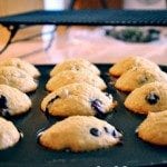 muffin-pan