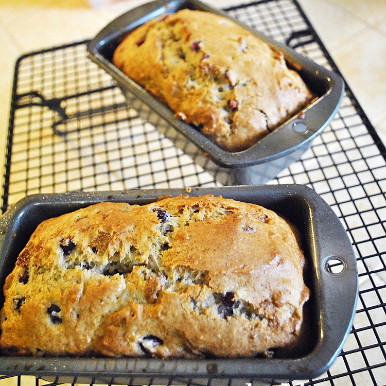 fruit and nut bread2 square