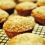 muffins4 square