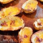 potato skins square