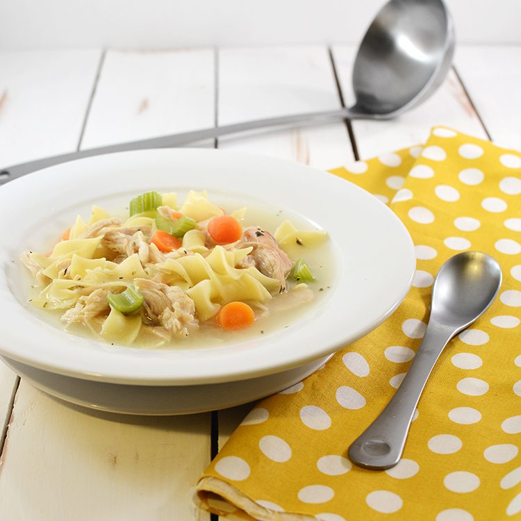 chicken noodle soup square