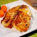 tilapia4 square