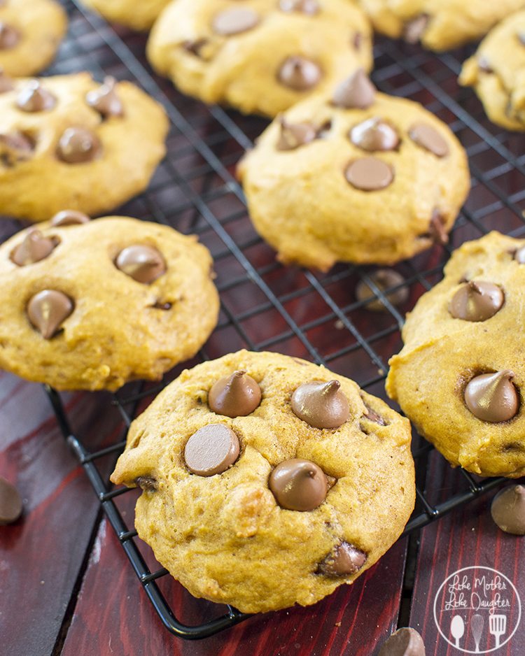 Pumpkin Chocolate Chip Cookies - These are the perfect soft baked fall cookies full of pumpkiny goodness and stuffed full of chocolate chips.