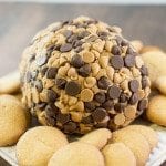peanut butter cheese ball 1 square