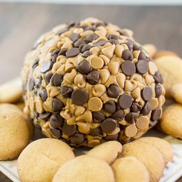 peanut butter cheese ball 1 square