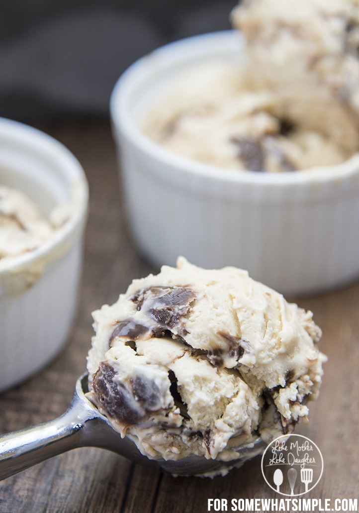 No Churn Peanut Butter Fudge Ice Cream LMLDFood