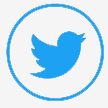 twitter logo for footer