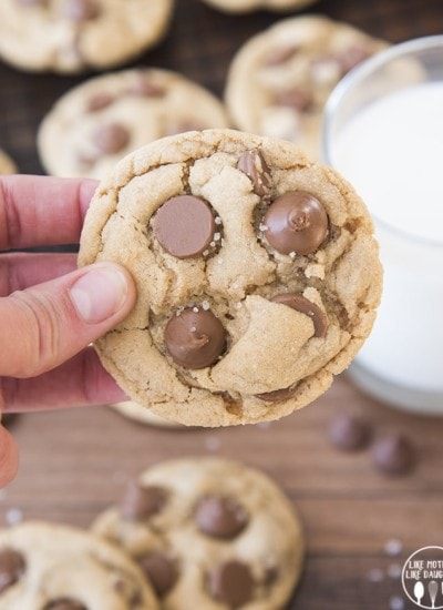 A hand holding a peanut butter chocolate chip cookie.