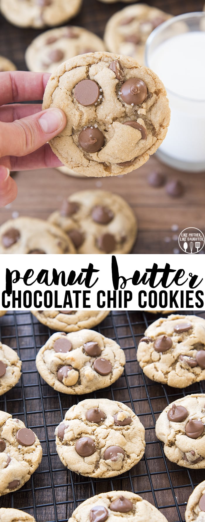 A collage of two photos of peanut butter chocolate chip cookies with a text block in the middle of them. 