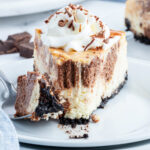 A plate of a vanilla and chocolate swirled cheesecake topped with whipped cream.