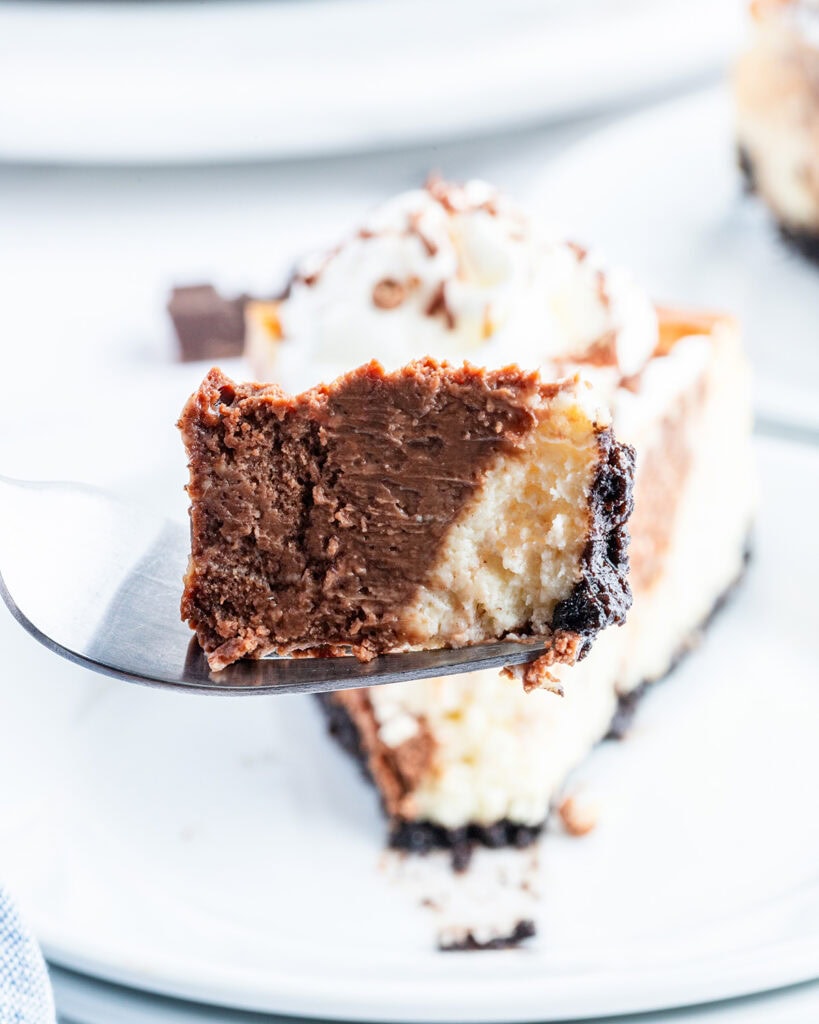 A forkful of chocolate and vanilla swirled cheesecake.