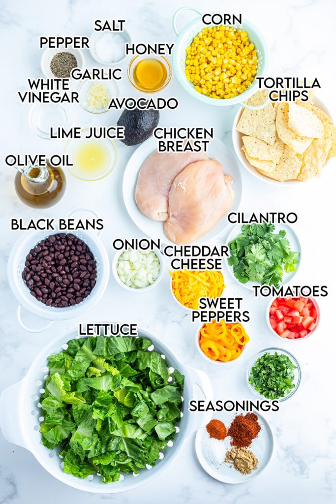 An overhead view of the ingredients needed to make chicken taco salad and cilantro lime vinaigrette dressing. 