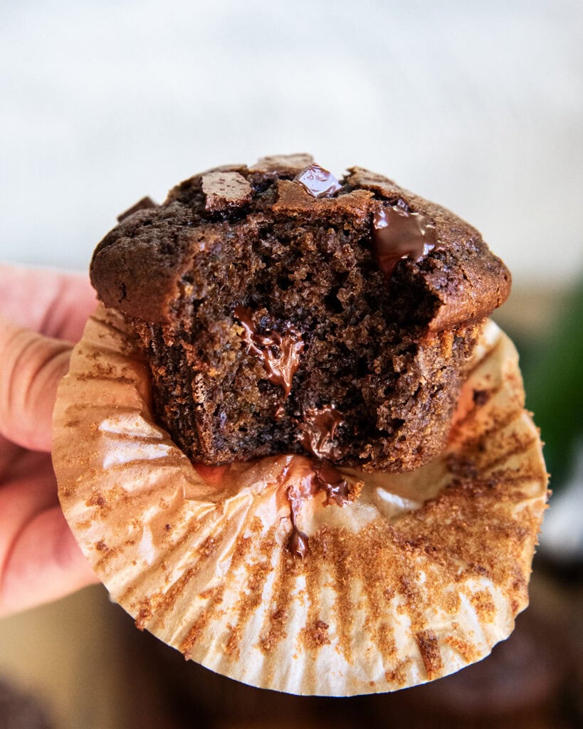 A hand holding a chocolate zucchini muffin with a bite out of it.