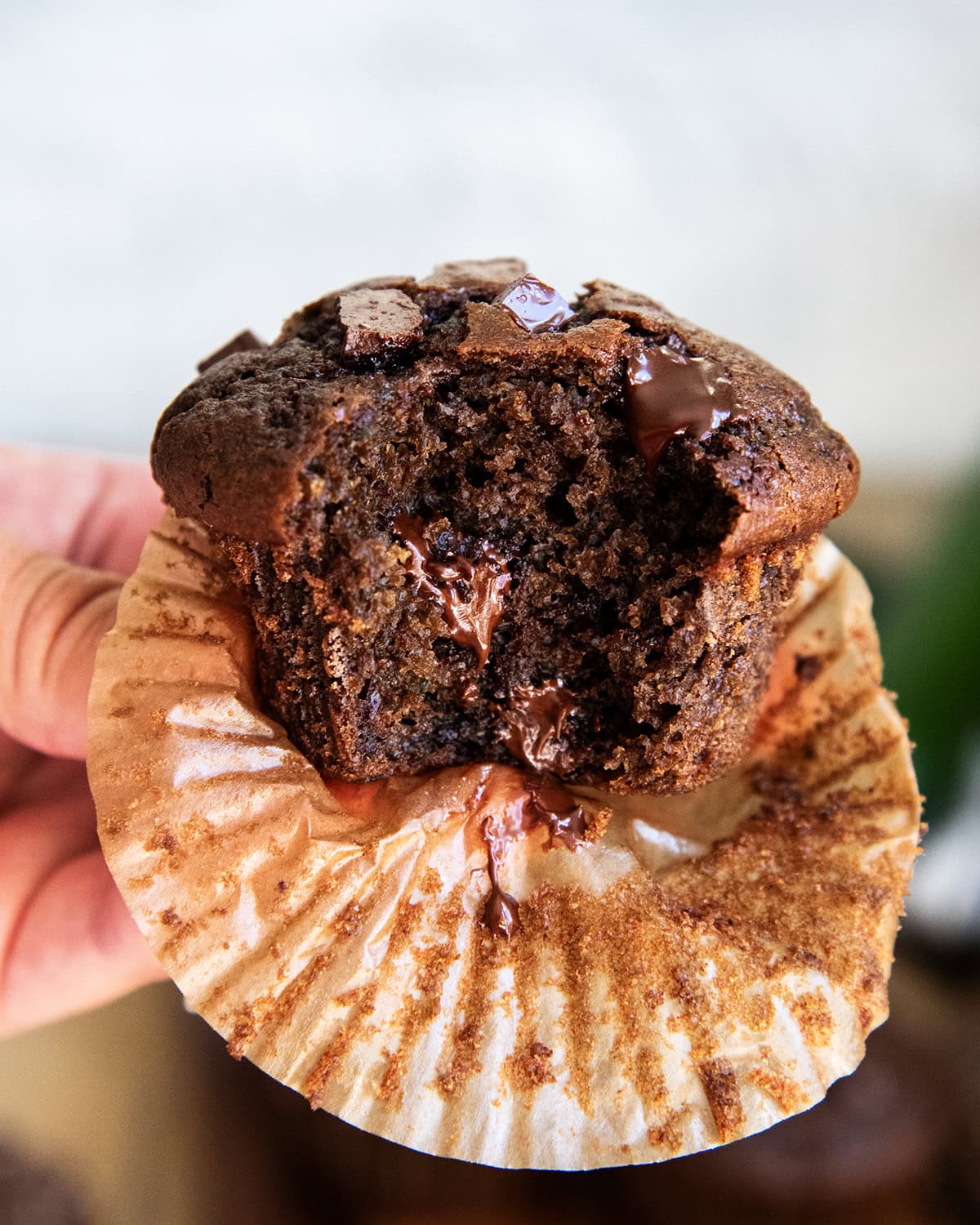 A hand holding a chocolate zucchini muffin with a bite out of it.