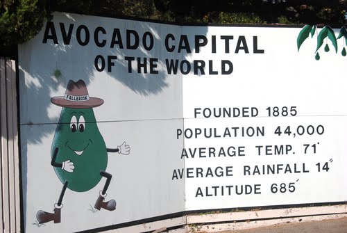 An image of a sign that shows the information about Fallbrook, CA being the avocado capitol of the world.