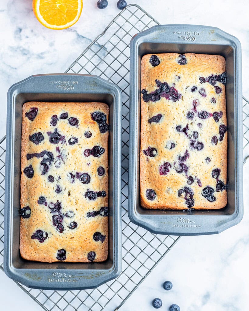 Two loves of blueberry poppyseed bread in loaf pans.