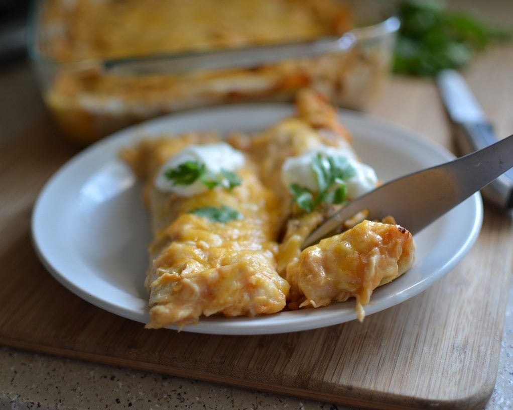 034small Front view of creamy chicken enchiladas on a white plate.