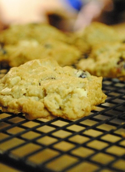 Angled view of jungle cookies on a cooling rack.