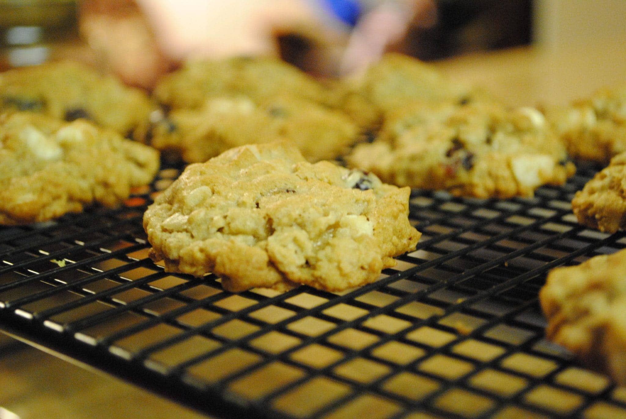 Angled view of jungle cookies on a cooling rack.
