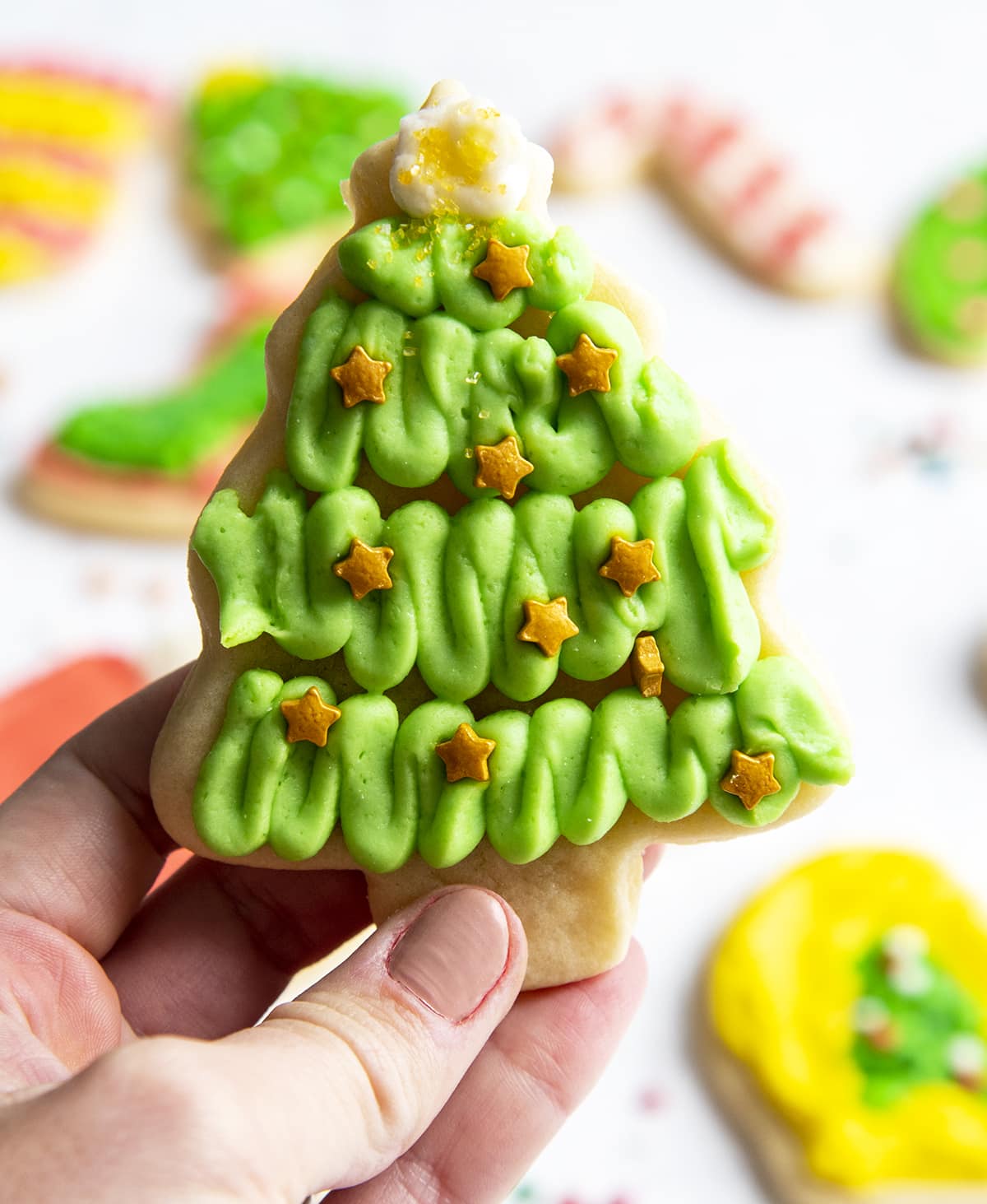 A hand holding a Christmas tree decorated sugar cookie with green frosting and star sprinkles.