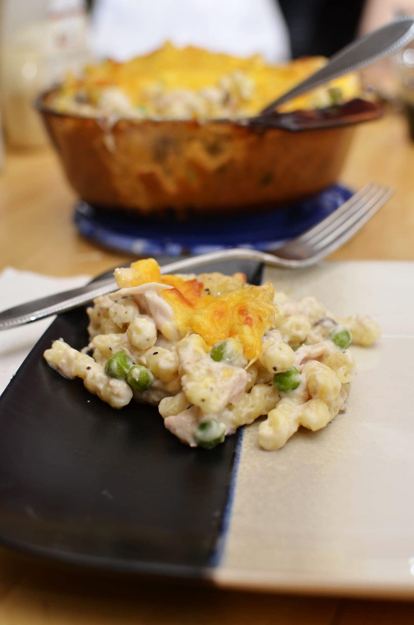 A plate of tuna casserole cooked with melted cheese on top.