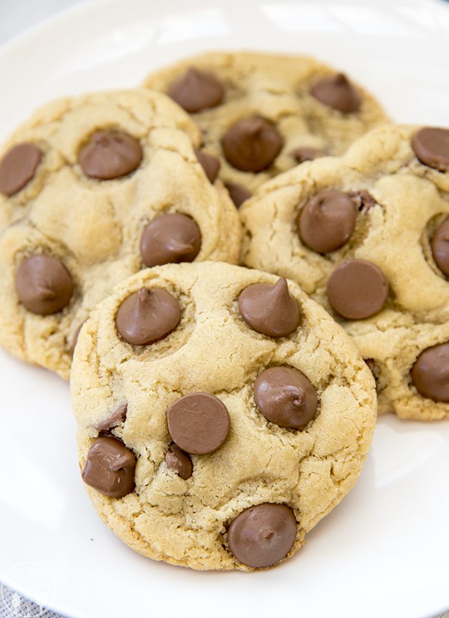 Close up image of chocolate chip cookies for two with large chocolate chips on top.