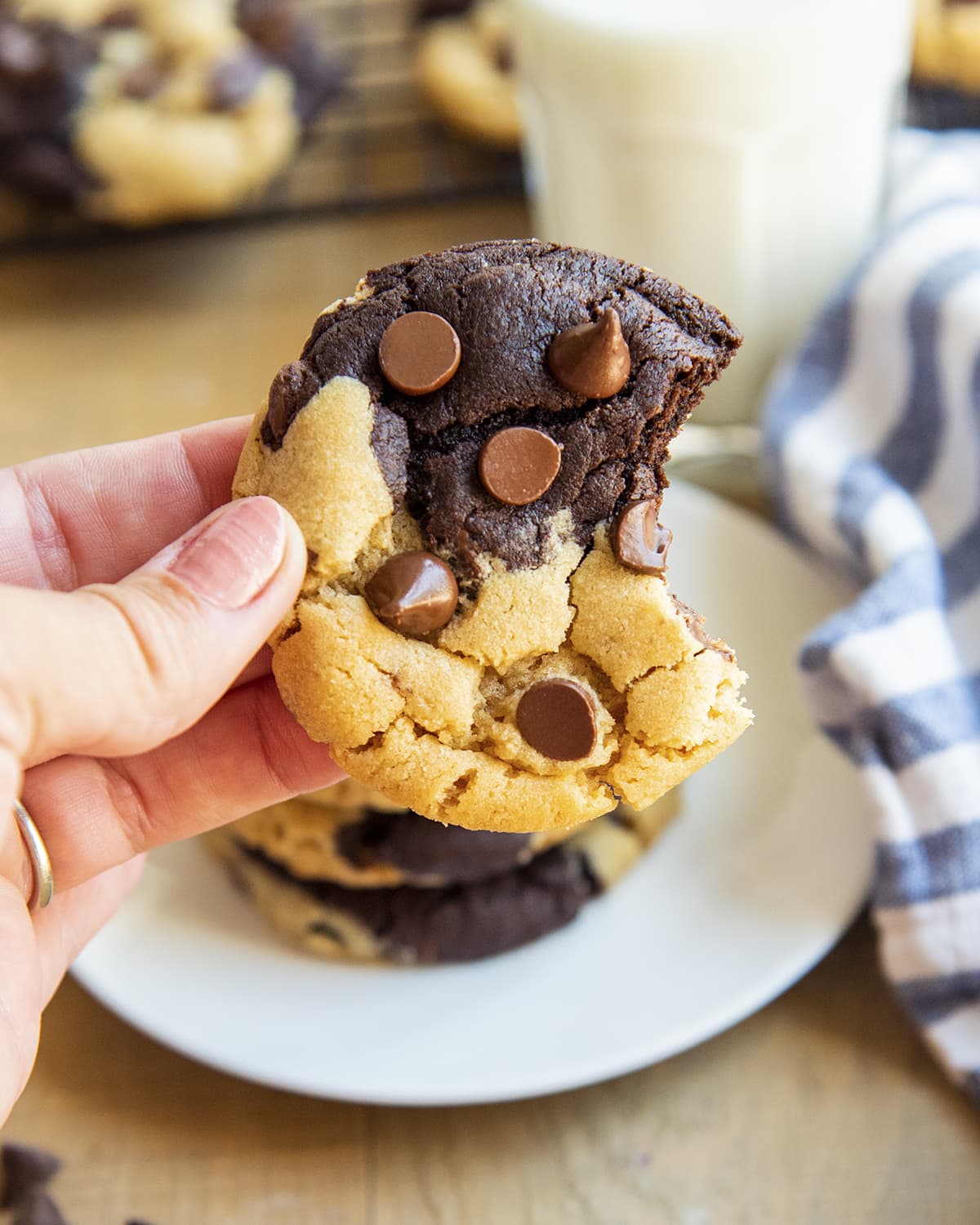 A hand holding a chocolate peanut butter marbled chocolate chip cookie with a bite out of it.