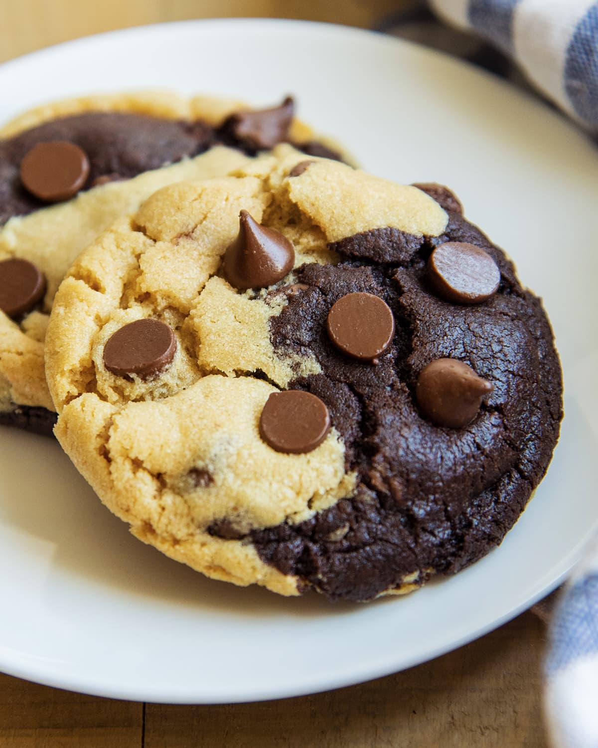 A close up of a chocolate and peanut butter swirled cookie with chocolate chips on top.