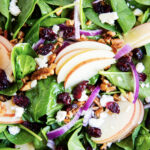 An above photo of an apple, cranberry, and spinach salad.