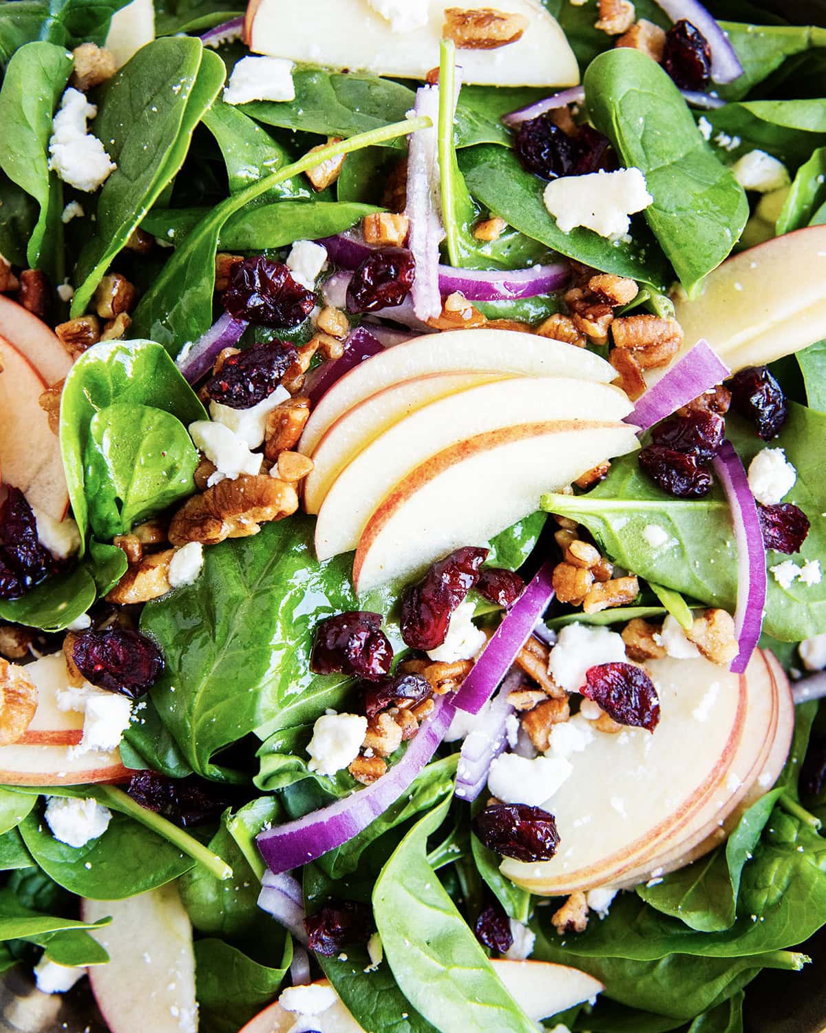 An above photo of an apple, cranberry, and spinach salad.