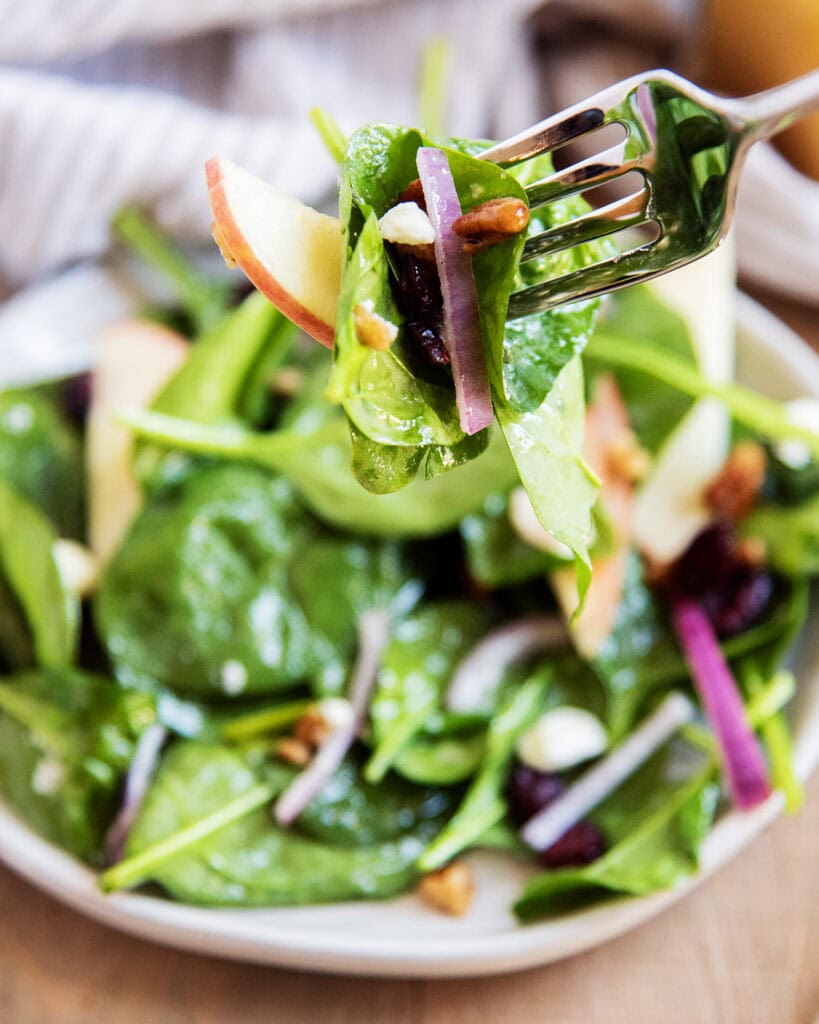 A fork full of spinach apple salad, above a plate of the salad.
