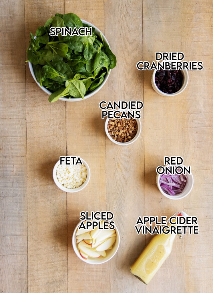 An overhead photo of the ingredients needed to make cranberry spinach salad.