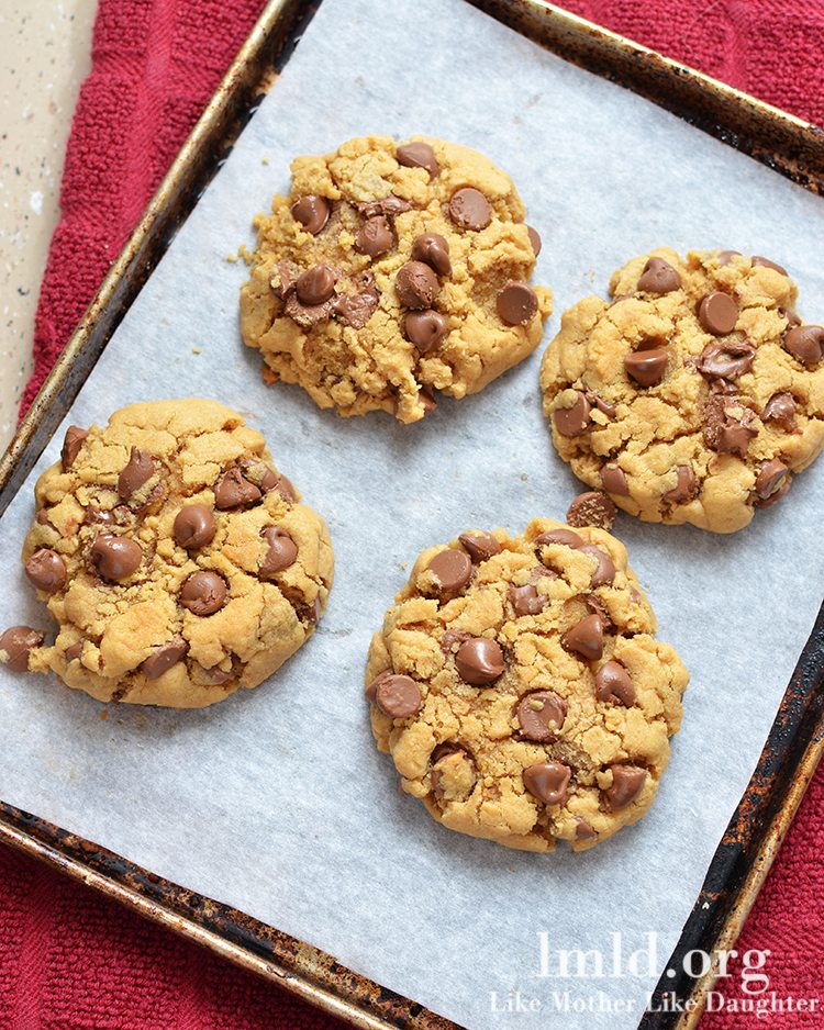 Top view of chocolate chip cookies for two on a white plate.