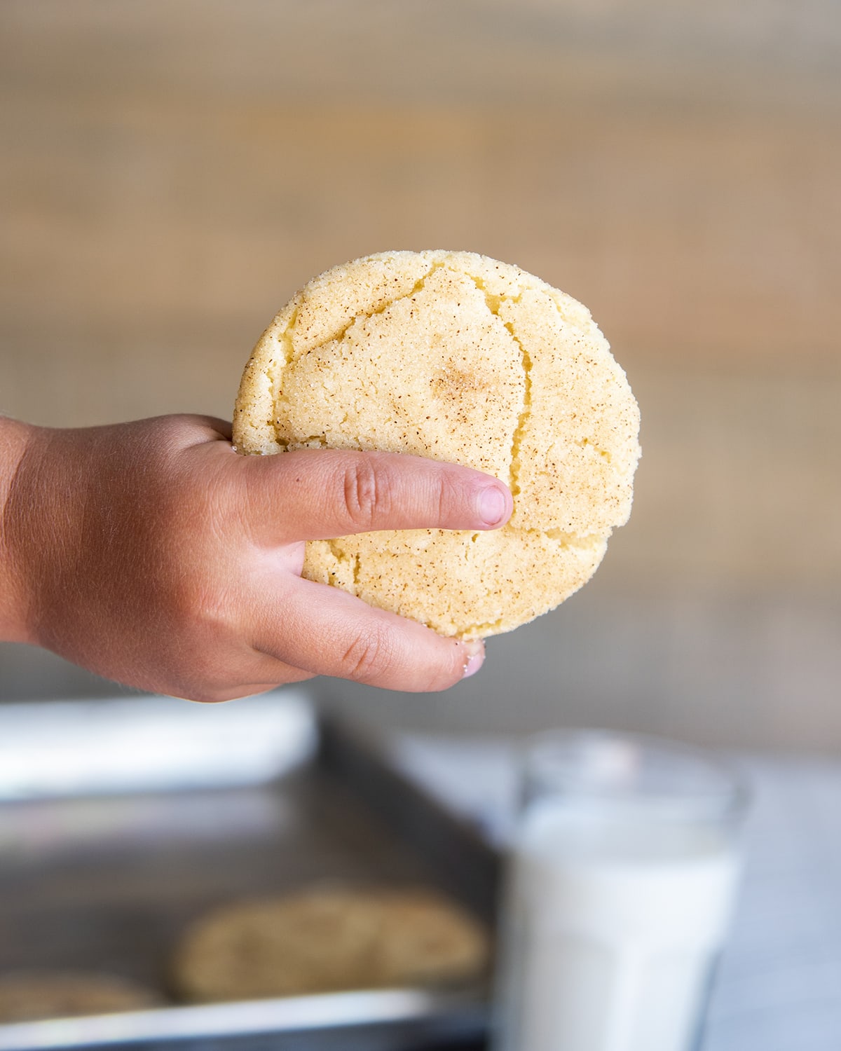 A kid hand holding a snickerdoodle cookie.