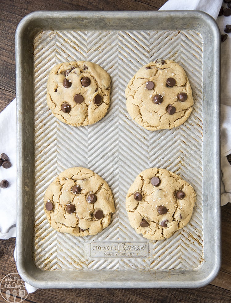 Small Batch Peanut Butter Chocolate Chip Cookies