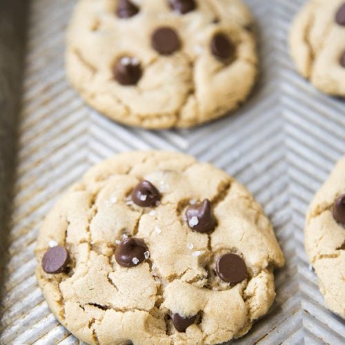 https://lmld.org/wp-content/uploads/2013/08/peanut-butter-chocolate-chip-cookies-for-two-13-500x500.jpg