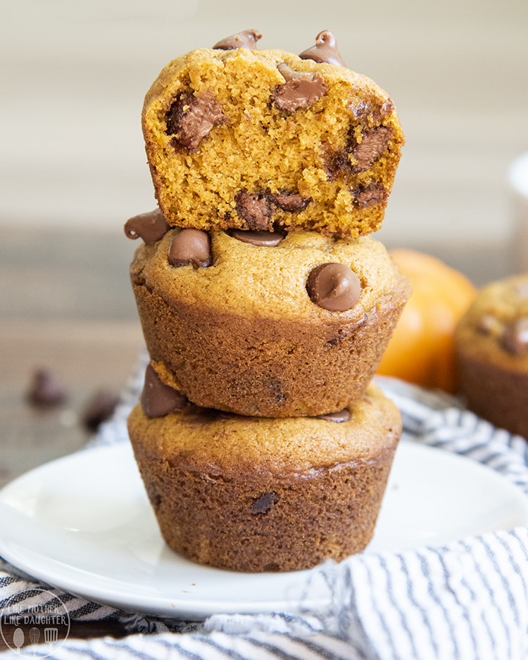 Pumpkin Muffins packed full of chocolate chips