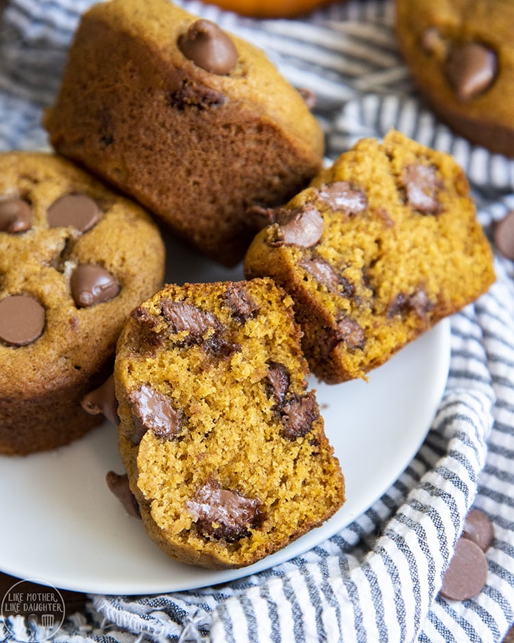 Pumpkin Muffins with Chocolate Chips in every bite