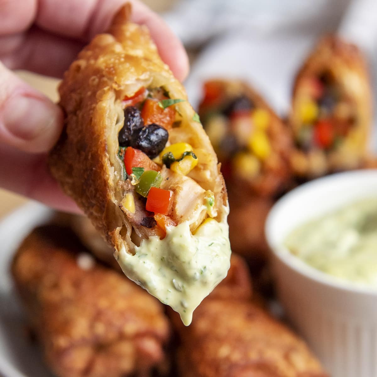 A close up of a hand holding a fried southwest chicken egg roll, cut in half and dipped in avocado ranch dressing.