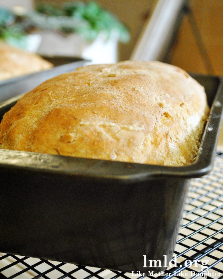 Wheat and Oat Bread