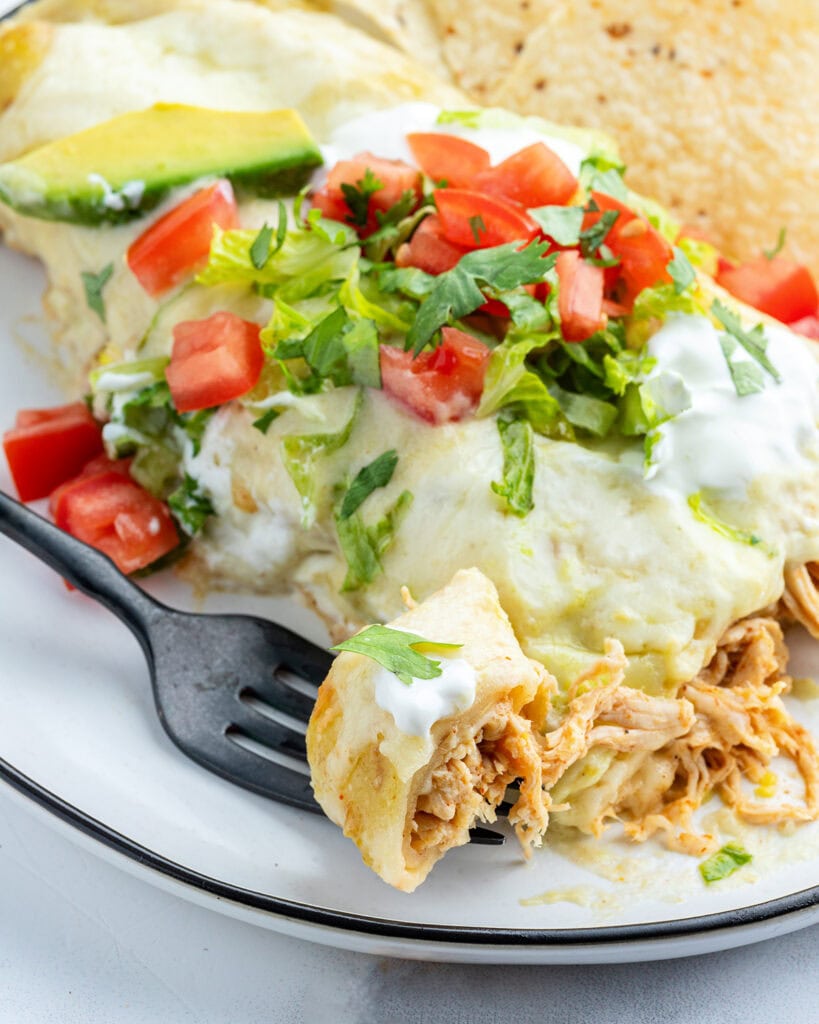A forkful of chicken enchiladas on a plate.