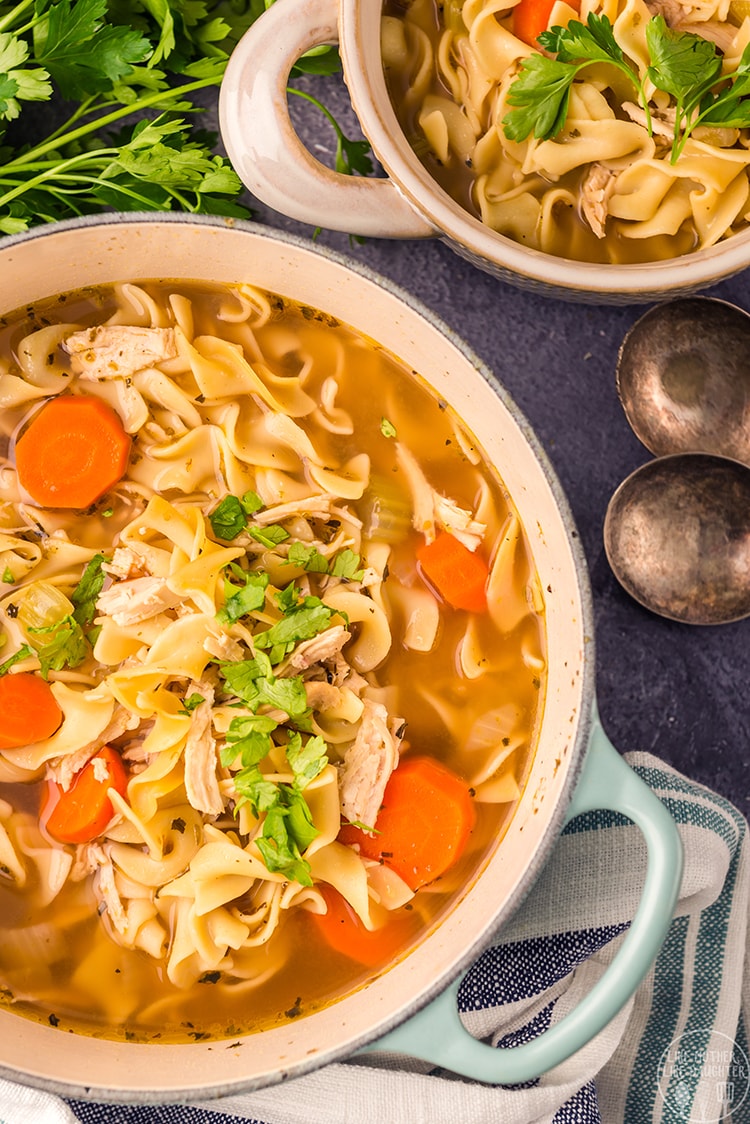 Above image of chicken noodle soup in a white bowl with ingredients surrounding them.