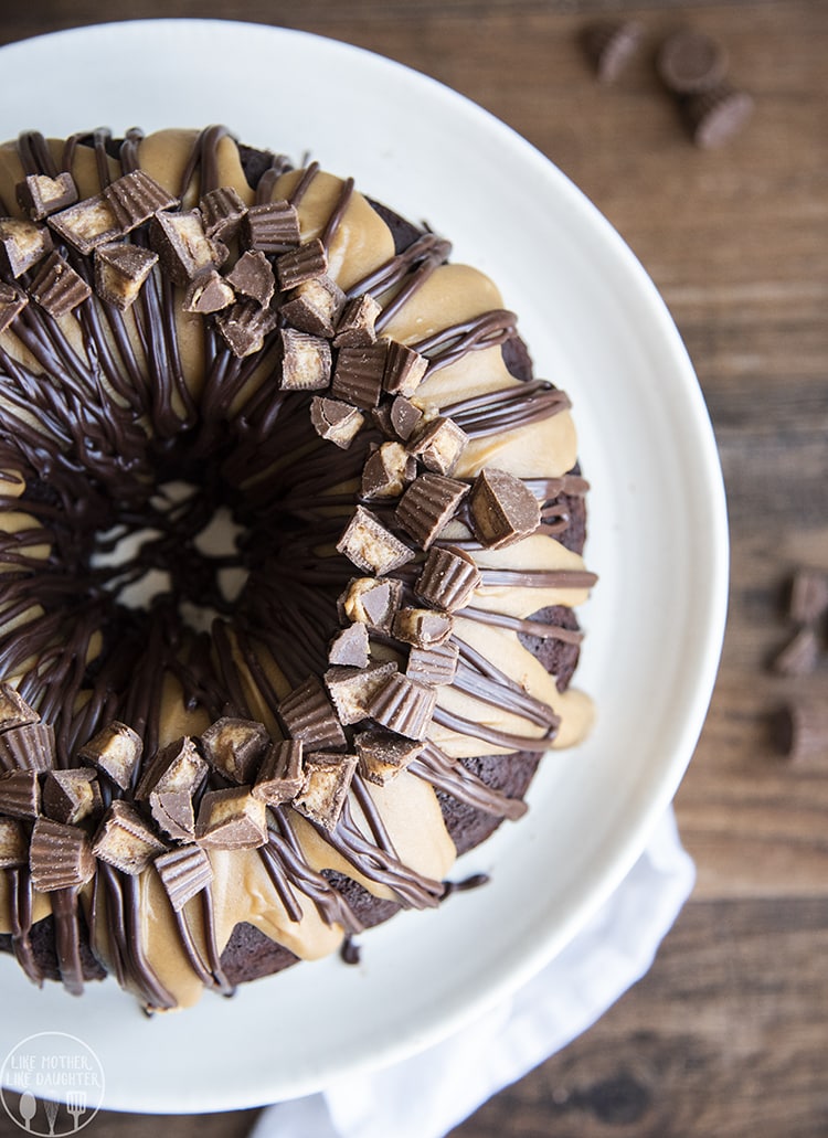 Chocolate Peanut Butter Swirl Cake