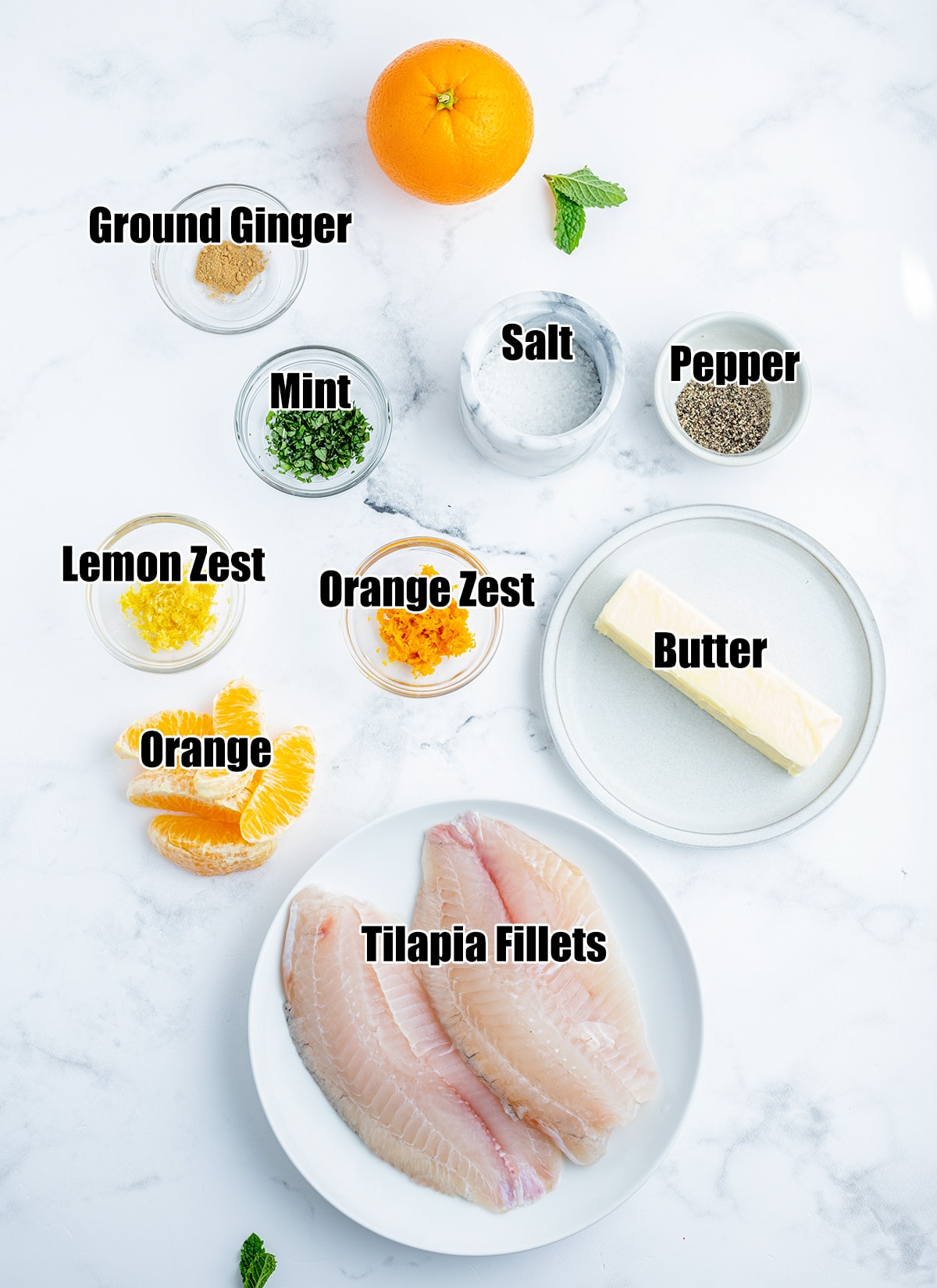 An overhead photo of the ingredients needed to make Citrus Butter Tilapia.