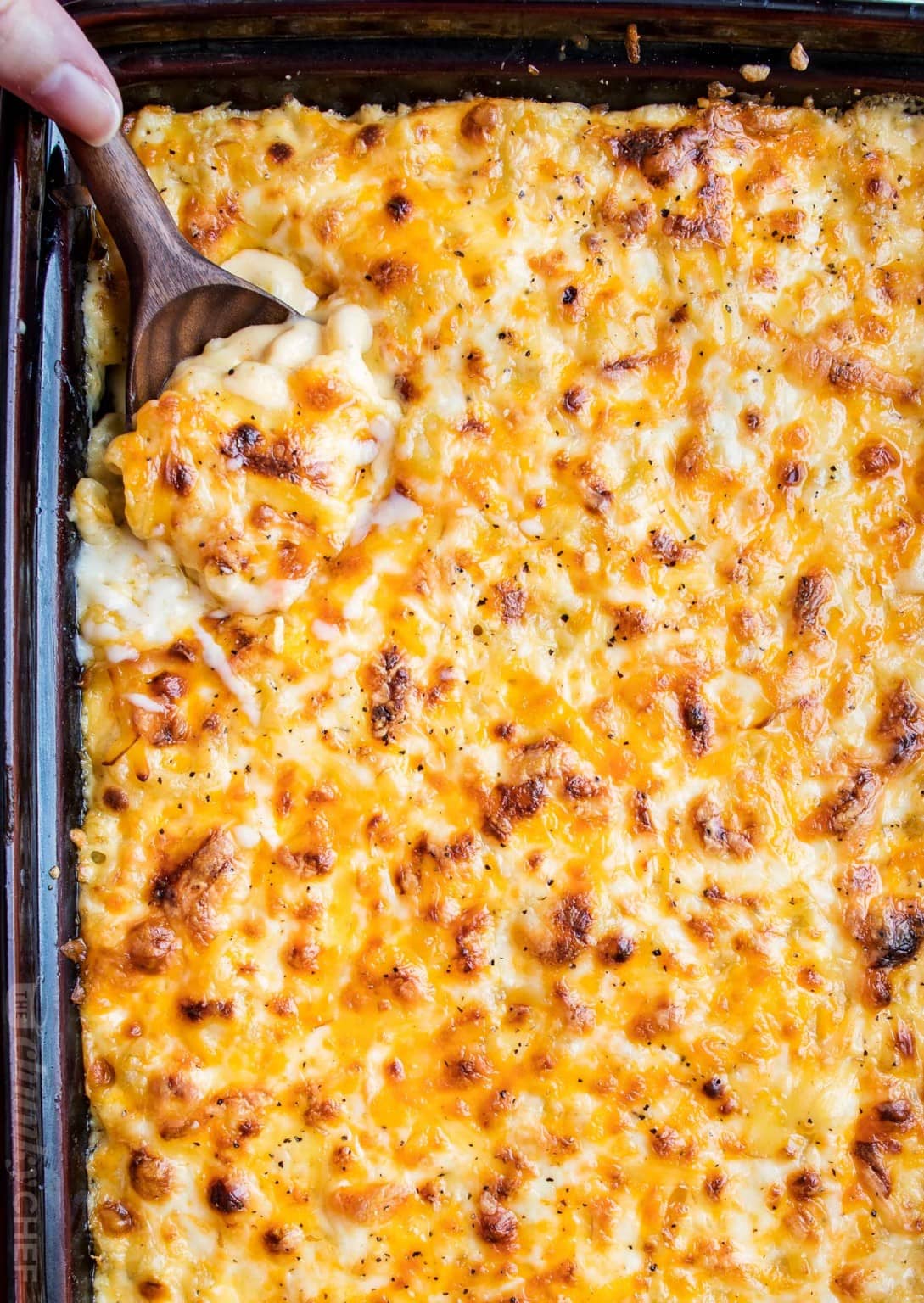 A baking dish full of macaroni and cheese shot from above, you can see the baked cheese layer on top.