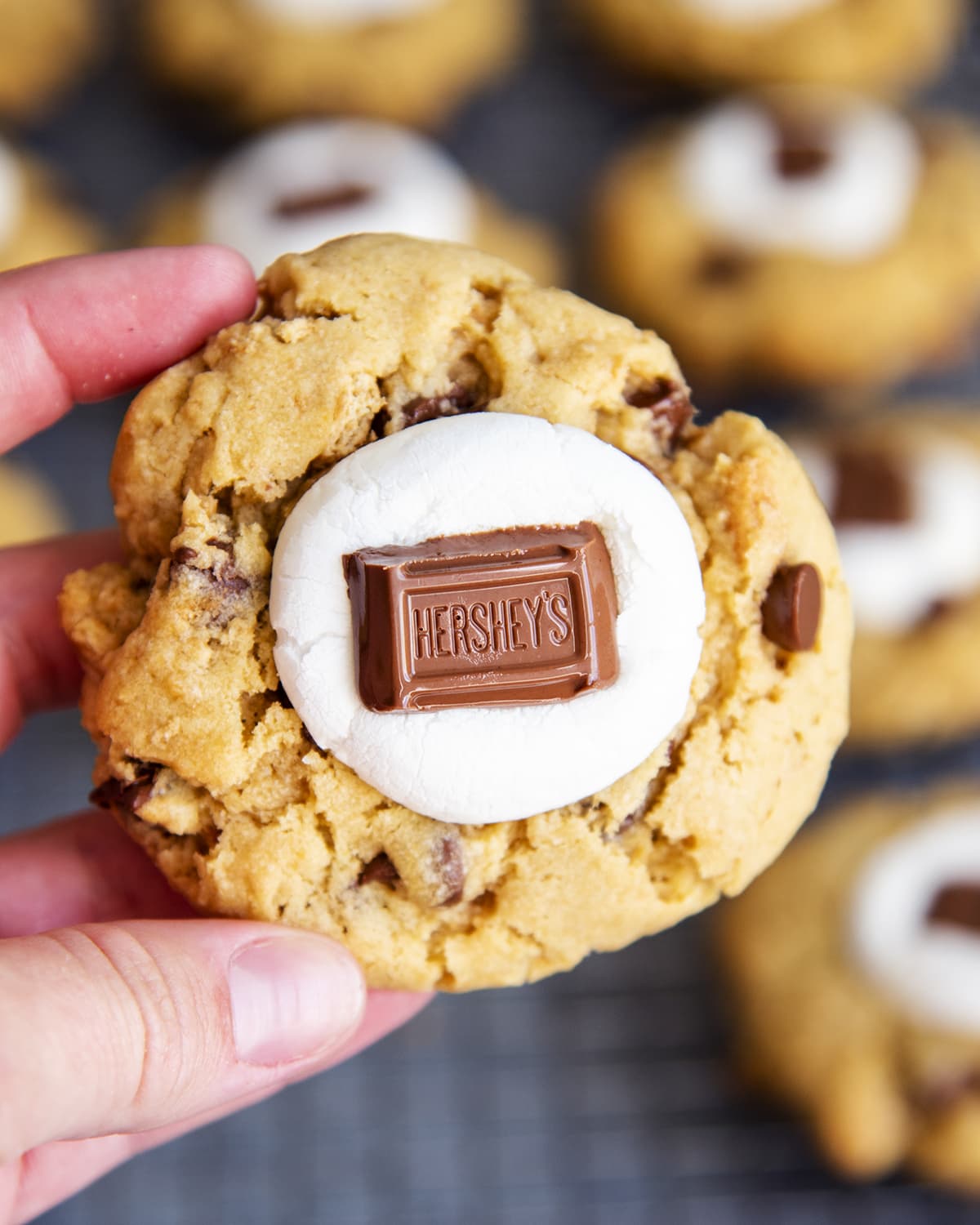 A hand holding a s'mores chocolate chip cookie topped with a marshmallow and a Hershey's chocolate.