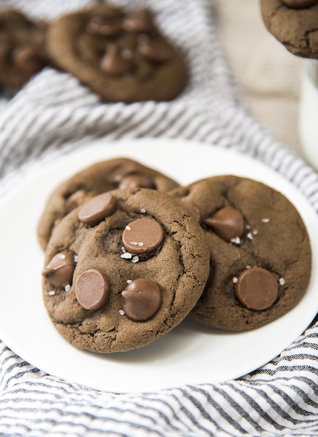 Front view of double chocolate chip cookies on a white plate.