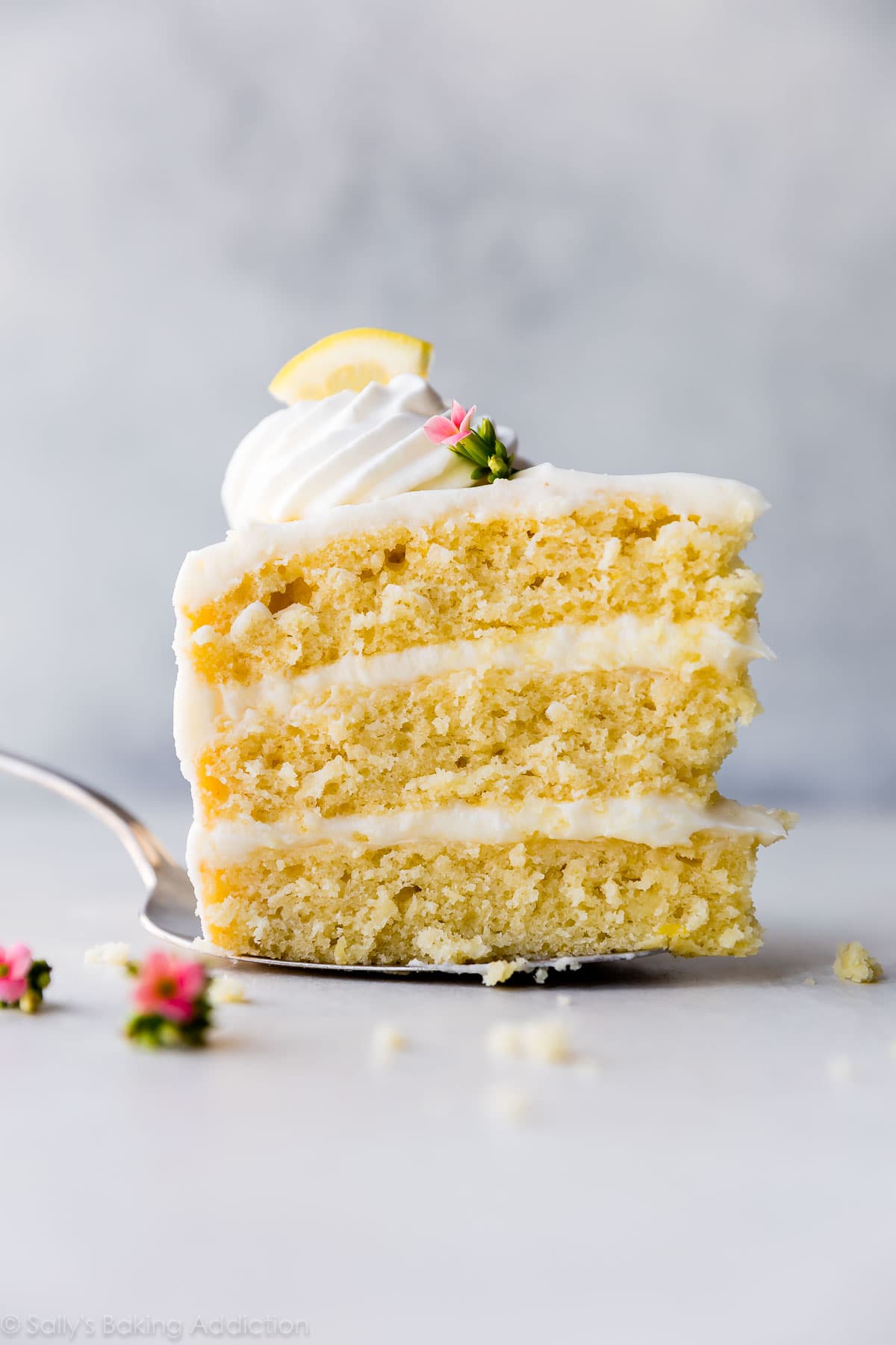 A slice of lemon layer cake